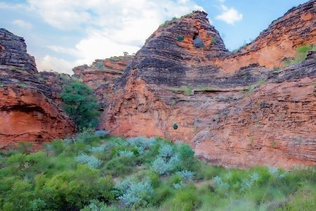 Waringarri Aboriginal Arts_Cultural Tour_Mirima.jpg